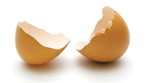 Broken-Egg-Shell